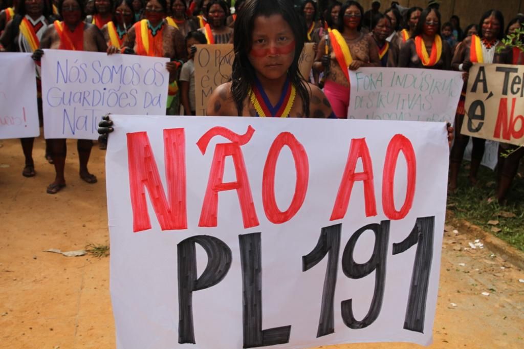 Carta Aberta da Associação Floresta Protegida, Instituto Kabu e Instituto Raoni contra o Projeto de Lei da Devastação (PL 191/2020)